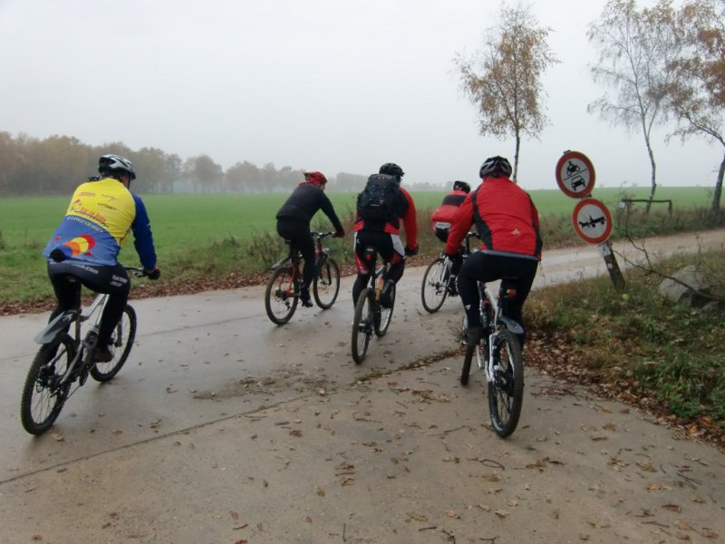 Wilseder Berg 1 2010 018